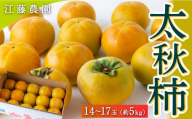 江藤農園 太秋柿 14玉から17玉 (約5kg) 2024年10月1日から10月18日出荷予定