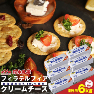 【森永乳業】業務用！フィラデルフィア　クリームチーズ 6kg