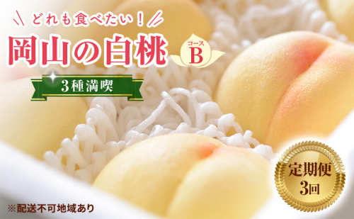 【 2025年 先行予約 】桃 岡山県産 どれも食べたい！岡山 白桃 3種 満喫 プラン 3回 コースB ( 白鳳 ・ 清水白桃 ・ 瀬戸内白桃 各1.2kg)《2025年7月上旬-8月下旬頃出荷》フルーツ 果物 里庄町 1476969 - 岡山県里庄町