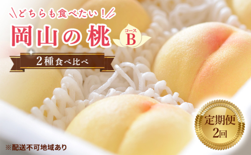 【 2025年 先行予約 】桃 岡山県産 岡山 の桃 2種 食べ比べ プラン 2回 コースB ( 加納岩白桃 ・ あかつき 各1.5kg) 《2025年6月下旬-7月中旬頃出荷》 フルーツ もも モモ ギフト 果物 旬 定期便 1476970 - 岡山県里庄町