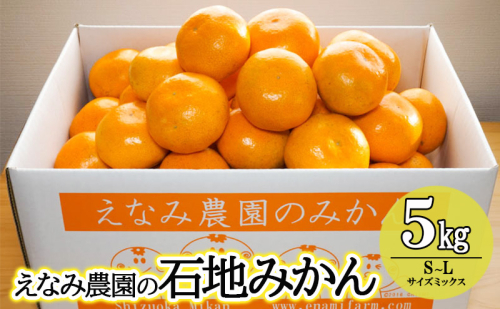 えなみ農園の石地みかん　5kg（S～Lサイズミックス） みかん ミカン 柑橘 果物 くだもの フルーツ 浜松市 静岡 1477028 - 静岡県浜松市