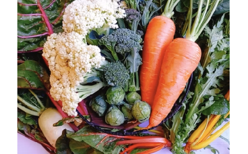 双葉農園 の”イチオシ”真冬の７種の野菜セット        (旬 野菜 とれたて当日 直送 お届け 詰め合わせ 新鮮 鍋 冬野菜 福袋 ボリューム おでん  珍しい 野菜ソムリエ チーズフォンデュ  アヒージョ 返礼品　大谷　小谷 ）007-33-1