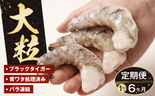 【定期便6ヶ月】至福の大粒 むきえび　背ワタ処理済 1kg　ブラックタイガー 冷凍 ムキエビ  大型 海老 1477135 - 兵庫県淡路市