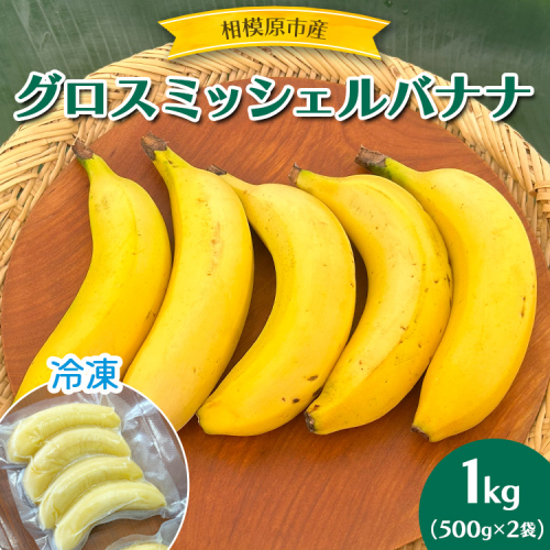 相模原産 グロスミッシェルバナナ　冷凍　1kg（500g×2袋） 1477321 - 神奈川県相模原市