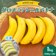 相模原産 グロスミッシェルバナナ　冷凍　1kg（500g×2袋）