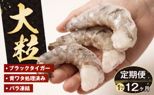 【定期便12ヶ月】至福の大粒むきえび　背ワタ処理済 1kg　　[むきえび 冷凍 ムキエビ ブラックタイガー 大型 むきえび] 1477520 - 兵庫県淡路市