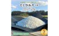 ＜毎月定期便＞栽培期間中できるだけ農薬を減らす こしひかり白米5kg茨城共通返礼品・行方産全12回【4055845】