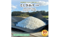 ＜毎月定期便＞栽培期間中できるだけ農薬を減らす こしひかり白米10kg茨城共通返礼品行方産全12回【4055847】