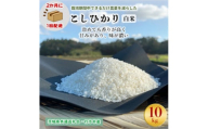 ＜2ヵ月毎定期便＞栽培期間中できるだけ農薬を減らすこしひかり白米10kg茨城共通返礼品行方産全6回【4055851】