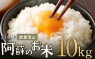 阿蘇のお米 10kg (5kg×2袋) 【2024年11月発送】 精米 お米 米 おすすめ 人気 ランキング