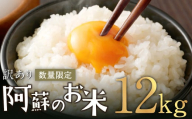 阿蘇のお米 12kg (6kg×2袋) 【2024年11月発送】 精米 お米 米 おすすめ 人気 ランキング