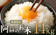 阿蘇のお米 14kg (5kg×2袋+4kg×1袋) 【2024年11月発送】 精米 お米 米 おすすめ 人気 ランキング