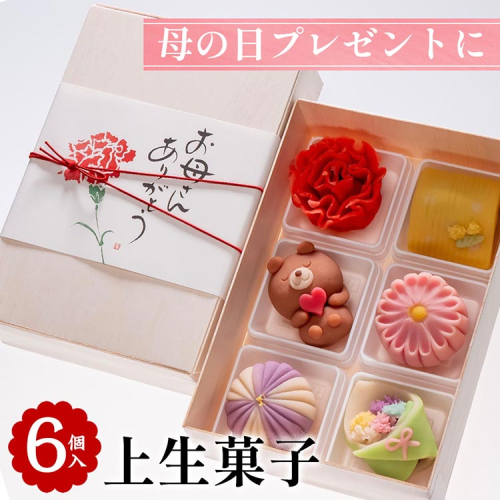 母の日 プレゼント「上生菓子 6個入」｜京都 お取り寄せ グルメ ご当地 お菓子 和菓子 スイーツ 和スイーツ ギフト 贈り物 ※2025年5月9日発送予定 ※北海道・沖縄・離島への配送不可 1478269 - 京都府亀岡市