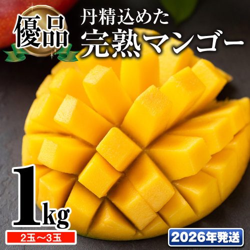 【2026年発送】「優品」丹精込めた完熟マンゴー1kg　2玉～3玉 1478589 - 沖縄県南風原町