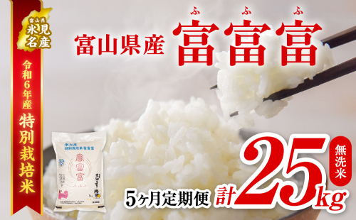 〈5ヶ月定期便〉令和６年産 富山県産 特別栽培米 富富富５kg 無洗米 1478594 - 富山県氷見市