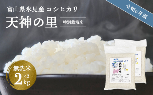 令和6年産 富山県産特別栽培米 コシヒカリ 天神の里２kg×２ 無洗米 1478597 - 富山県氷見市