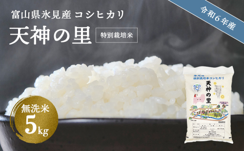 令和6年産 富山県産 特別栽培米 コシヒカリ 天神の里 ５kg  無洗米 1478600 - 富山県氷見市