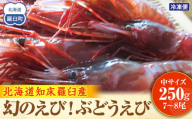幻のえび！北海道 知床 羅臼 ぶどうえび（中・250g /7～8尾） エビ 海老 ブドウエビ 羅臼町 北海道 魚介類 魚介 海産物 冷凍 生産者 支援 応援