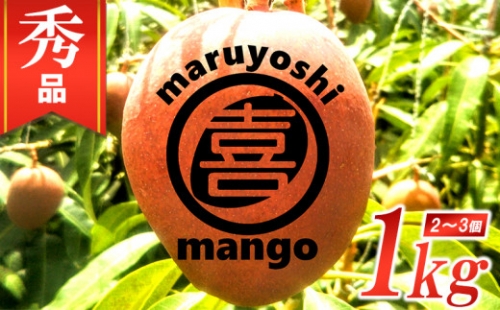 うるま市産「秀品」マンゴー1kg　まるよしマンゴー農園【2022年発送】
