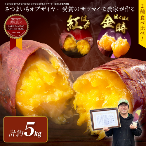 さつまいもオブザイヤー紅はるか部門全国1位のさつまいも農家がつくるサツマイモ2種食べ比べセット（紅はるか・金時）計約5kg
 1479276 - 京都府京丹後市