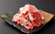 博多和牛 リッチな切り落とし 300g×2パック 計約600g 肉 牛肉 お肉 すき焼き 切り落とし