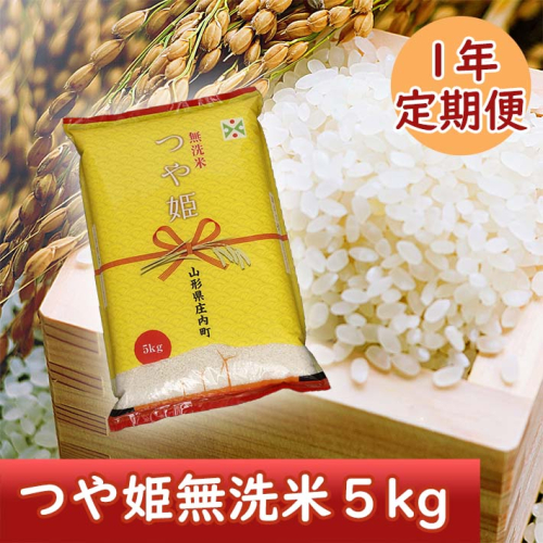 庄内米1年定期便！ つや姫無洗米5kg 選べる発送時期 12月開始 1月開始 147935 - 山形県庄内町