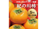 カキエモン農園の紀の川柿 約5kg 18 〜 20個[9月下旬〜11月末頃発送]