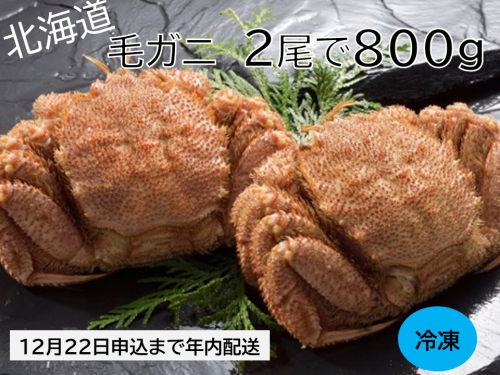 活ゆで毛蟹（2尾×400ｇ）計800g【冷凍】 1479542 - 北海道池田町