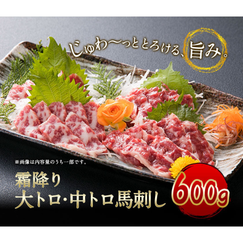 大トロ中トロ馬刺し盛り 600g 長洲501《30日以内に出荷予定(土日祝除く)》馬刺し 熊本 長洲町 大トロ 中トロ 食べ比べ 馬肉 霜降り 1479631 - 熊本県長洲町