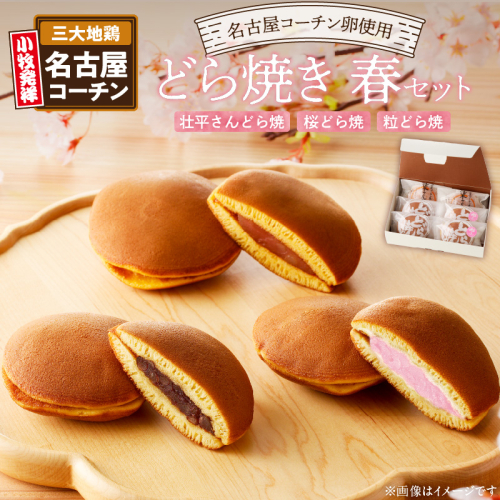 どら焼き　春セット［009B06］ 1479645 - 愛知県小牧市