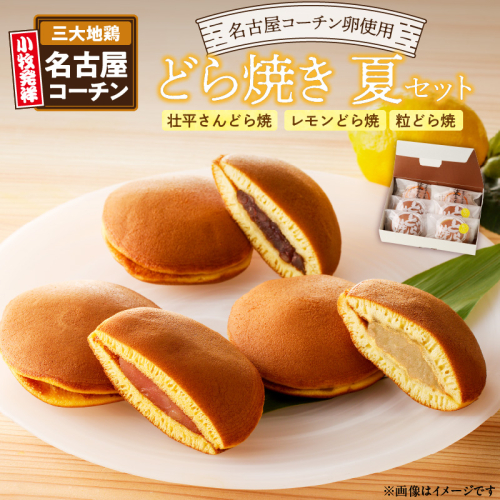 どら焼き　夏セット［009B07］ 1479646 - 愛知県小牧市