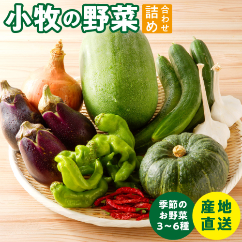 ネオコスモ農園で採れた小牧の野菜詰め合わせ［124N01］ 1479679 - 愛知県小牧市