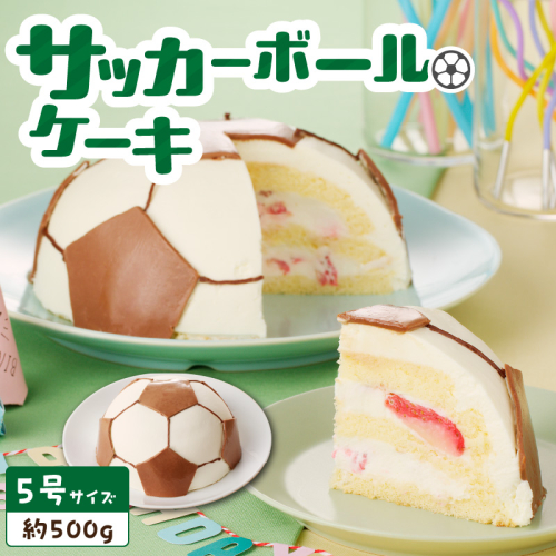 【いちごのバースデーケーキ】サッカーボールケーキ［125L03］ 1479683 - 愛知県小牧市