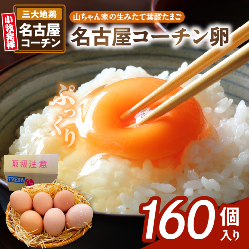 【山ちゃん家の生みたて葉酸たまご】名古屋コーチン卵（160個入り）［132Y04］ 1479706 - 愛知県小牧市