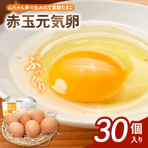 【山ちゃん家の生みたて葉酸たまご】赤玉元気卵（30個入り）［132Y05］ 1479707 - 愛知県小牧市