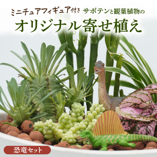 サボテンと観葉植物のオリジナル寄せ植え【恐竜セット】［133O05］ 1479716 - 愛知県小牧市