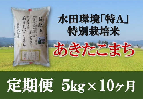 特別栽培米あきたこまち精米5kg定期便(10ヶ月)[F2104] 147971 - 秋田県湯沢市