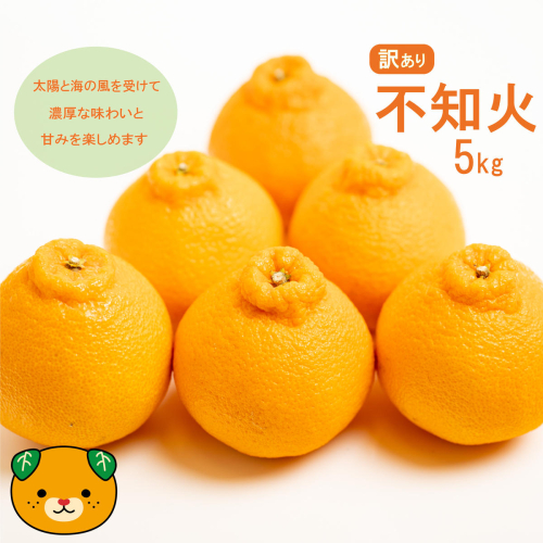 【先行予約】訳あり 不知火 5kg 減農薬 サイズミックス 不揃い 愛南フルーツ 発送時期：2027年3月下旬～なくなり次第終了 147972 - 愛媛県愛南町