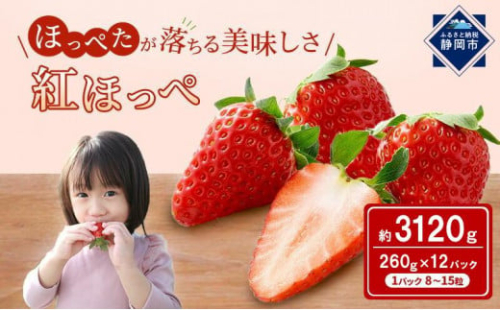 いちご ほっぺたが落ちる 紅ほっぺ  12パック 果物 イチゴ 苺 国産 ギフト 贈答品 お祝い プレゼント フルーツ くだもの◆ 1480125 - 静岡県静岡市