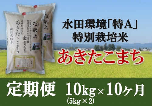 特別栽培米あきたこまち精米(5kg×2)定期便10ヶ月[F2102] 148014 - 秋田県湯沢市