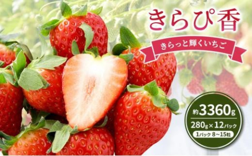 いちご キラっと輝くいちご きらぴ香 6箱 12パック 果物 イチゴ 苺 国産 ギフト 贈答品 お祝い プレゼント フルーツ くだもの 1480169 - 静岡県静岡市