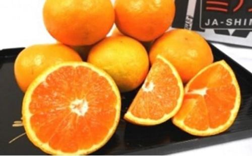 【2025年11月中旬より順次発送】秋の味覚　甘～い　早生ミカン5kg【配送不可：離島】◆ 1480172 - 静岡県静岡市