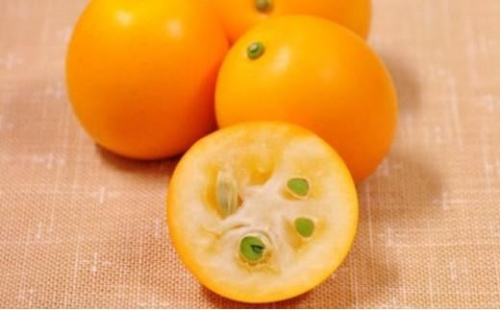 【2026年2月上旬より順次発送】極上に甘い金柑 清水のこん太【配送不可：離島】◆ 1480176 - 静岡県静岡市