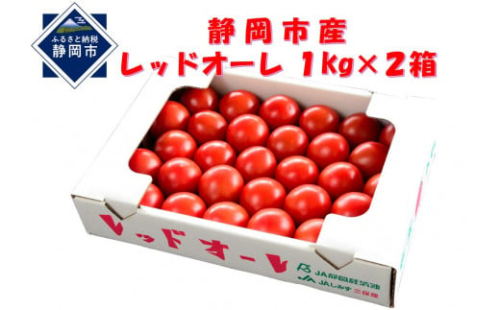 【2025年12月より順次発送】完熟中玉トマト レッドオーレ2箱【配送不可：北海道・沖縄・離島】◆ 1480182 - 静岡県静岡市