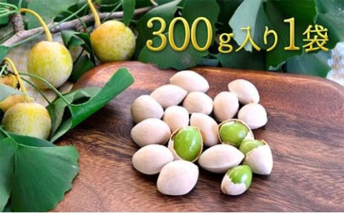 【2025年9月中旬より順次発送】真空パックで新鮮！しみずの銀杏300g　1袋★★ 1480183 - 静岡県静岡市