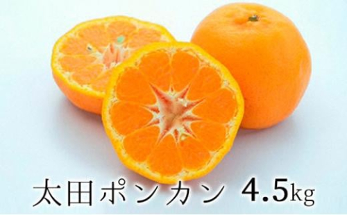 【2025年1月下旬より順次発送】静岡県清水生まれの美味しい柑橘・太田ポンカン 4.5kg 1480188 - 静岡県静岡市