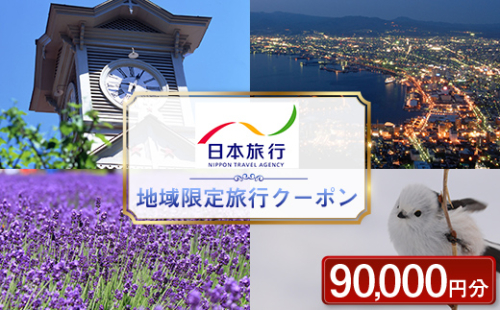 北海道 日本旅行 地域限定旅行クーポン 90,000円分 チケット 旅行 宿泊券 ホテル 観光 旅行 旅行券 宿泊 夏休み 冬休み F6S-142 1480502 - 北海道北海道庁