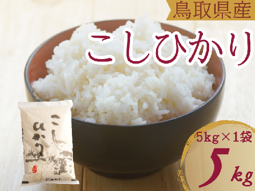 米 こしひかり5kg 鳥取県産 こめ 精米 コシヒカリ 5キロ 令和6年産 送料無料 1052 1480754 - 鳥取県江府町