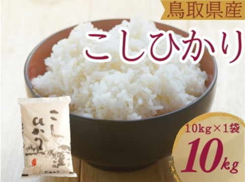 米 こしひかり10kg 鳥取県産 こめ 精米 コシヒカリ 令和7年産 送料無料 1053 1480755 - 鳥取県江府町