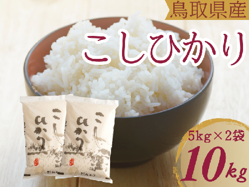 米 こしひかり5kg×2 計10キロ 鳥取県産 こめ 精米 コシヒカリ 令和6年産 送料無料 1053 1480755 - 鳥取県江府町